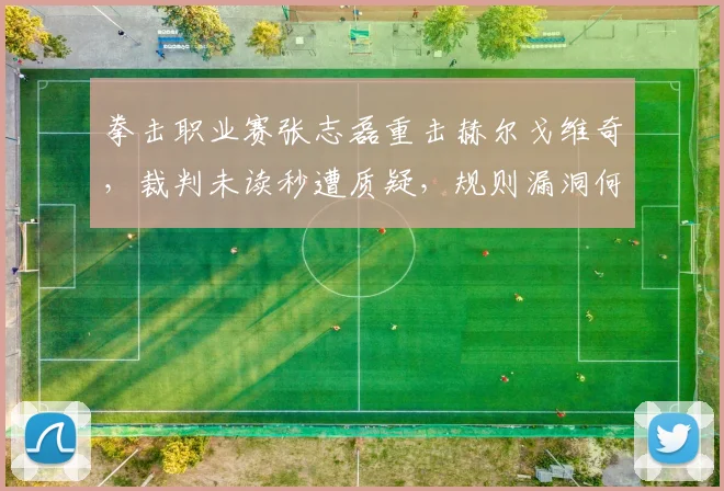 拳击职业赛张志磊重击赫尔戈维奇,裁判未读秒遭质疑,规则漏洞何时修补?