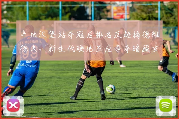 辛纳汉堡站夺冠后排名反超梅德维德夫,新生代硬地王座争夺暗藏玄机